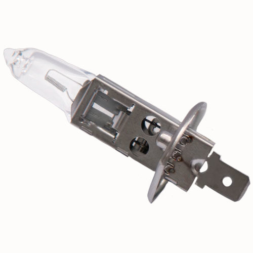 H1 12V 55W Halogen Bulb